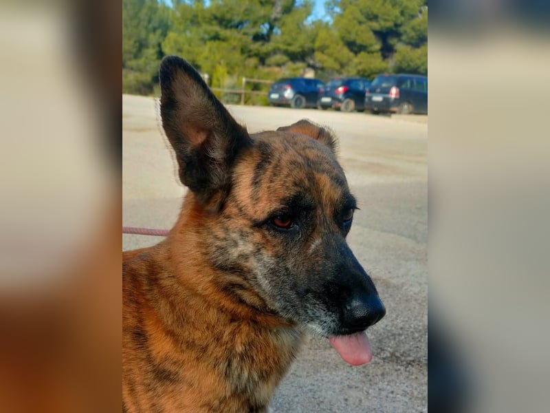 Iduna - die Uhr tickt ...