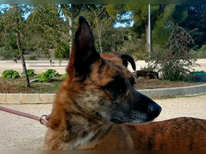 Iduna - die Uhr tickt ...