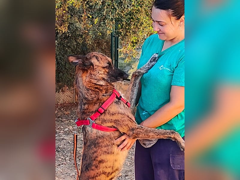 Iduna - die Uhr tickt ...