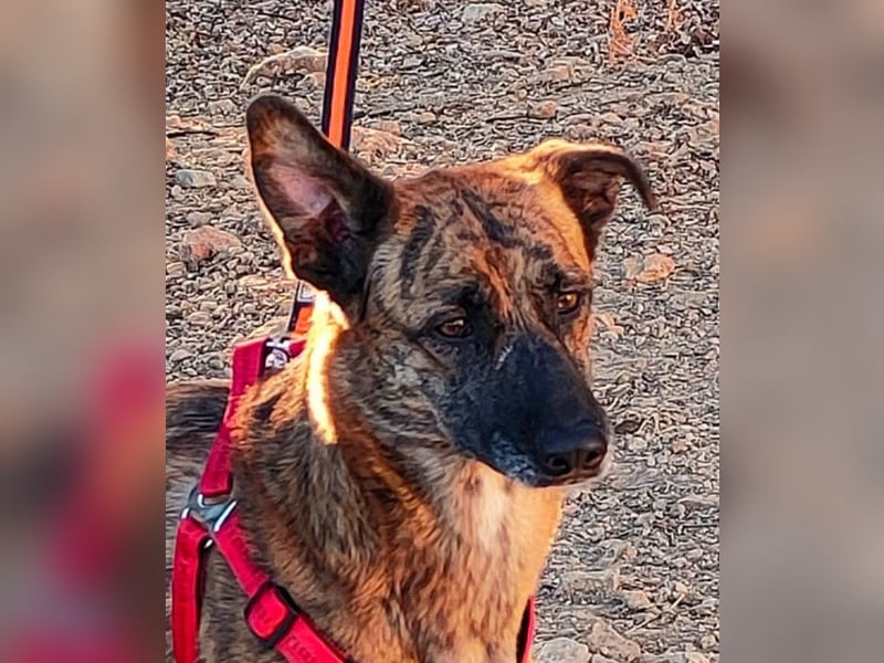 Iduna - die Uhr tickt ...