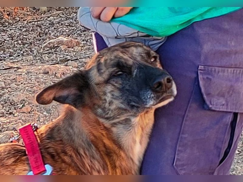 Iduna - die Uhr tickt ...