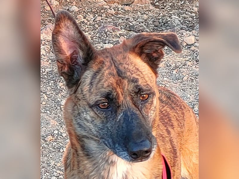 Iduna - die Uhr tickt ...