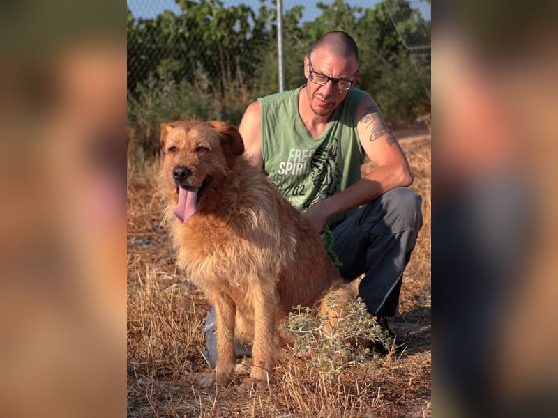 Sira – Sausewind im Teddypelz