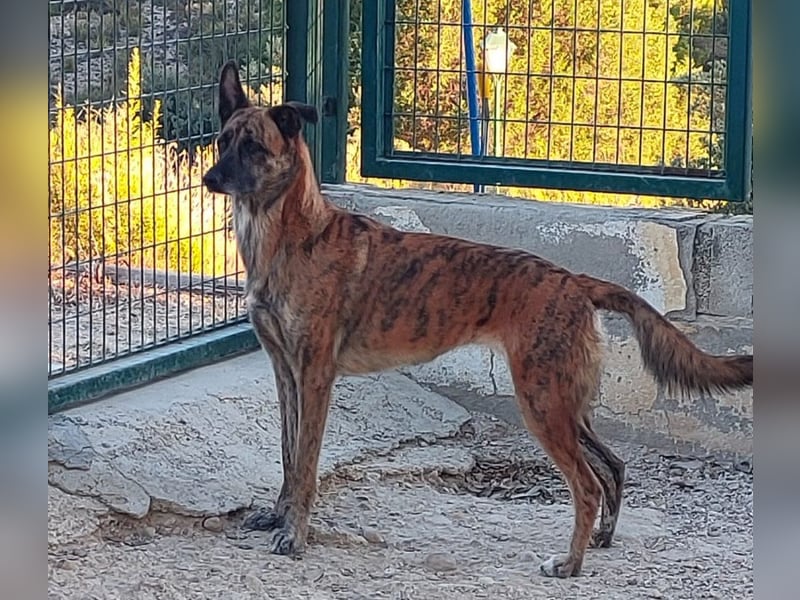 Iduna - die Uhr tickt ...