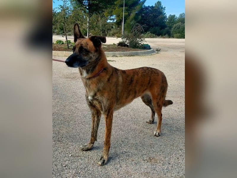 Iduna - die Uhr tickt ...