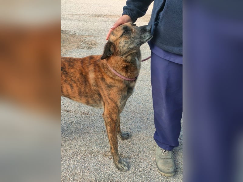 Iduna - die Uhr tickt ...