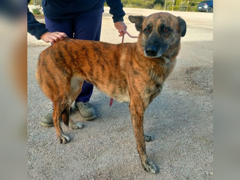 Iduna - die Uhr tickt ...