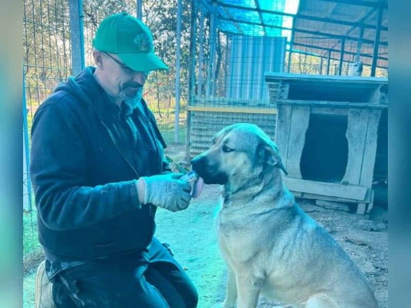 KALY - verspielt & fröhlich