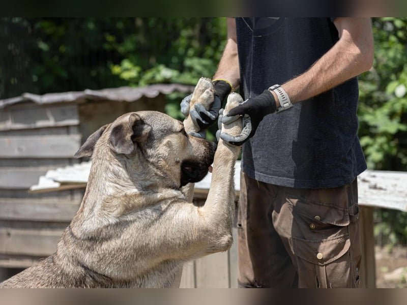 KALY - verspielt & fröhlich