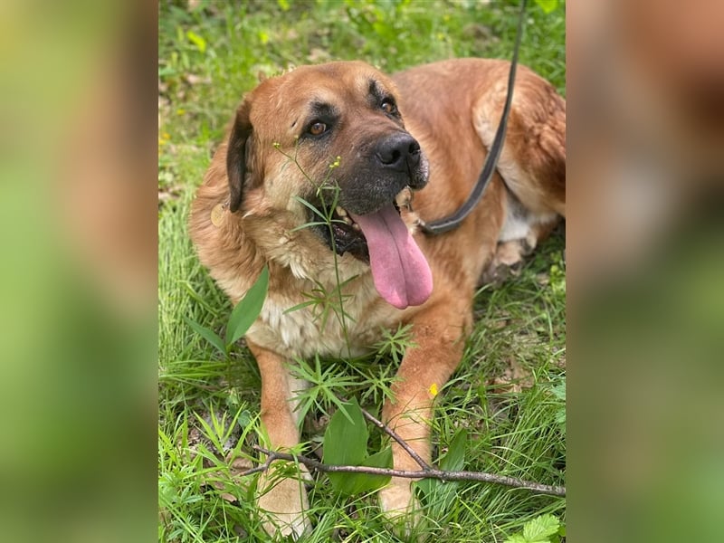 BROOKLYN- gemütlich und groß