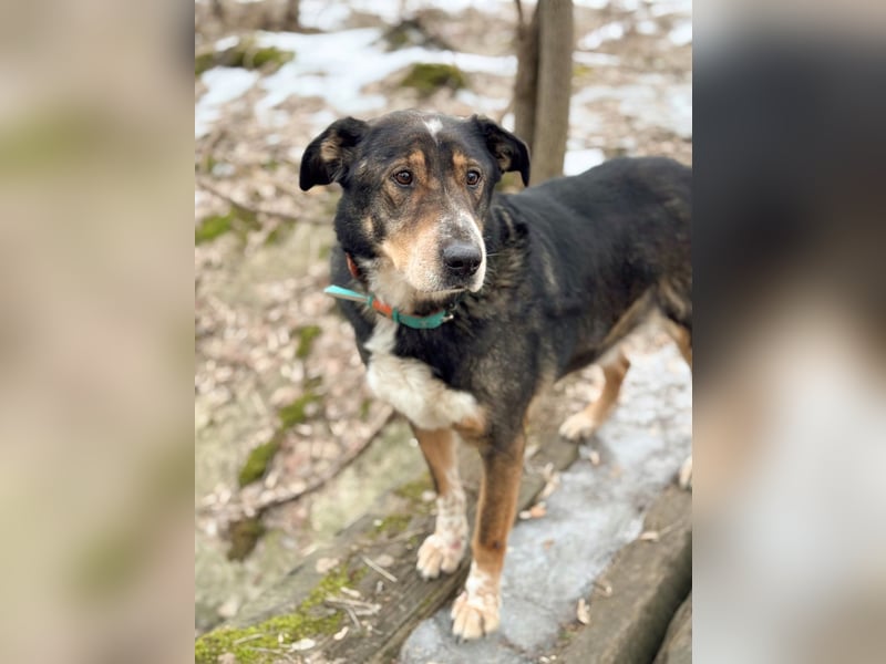 LEVA- sucht Senioren