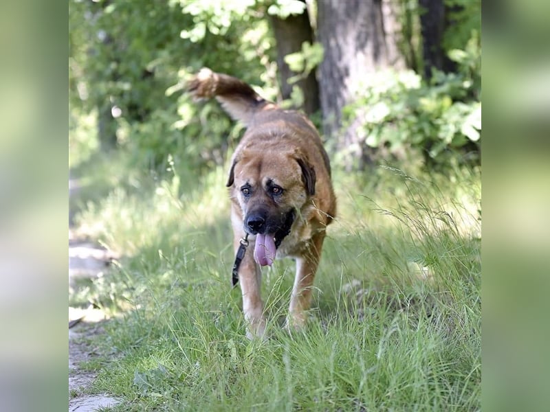 BROOKLYN- gemütlich und groß