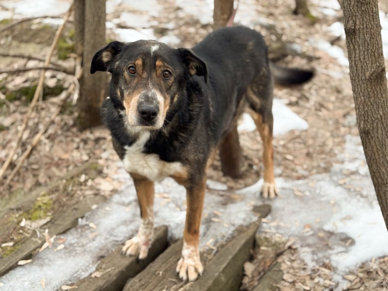 LEVA- sucht Senioren