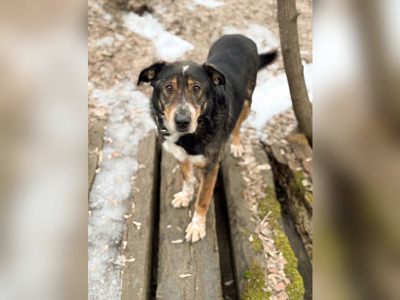 LEVA- sucht Senioren