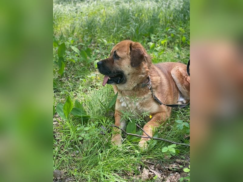 BROOKLYN- gemütlich und groß