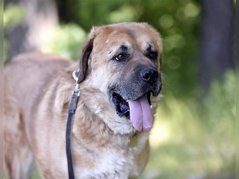 BROOKLYN- gemütlich und groß