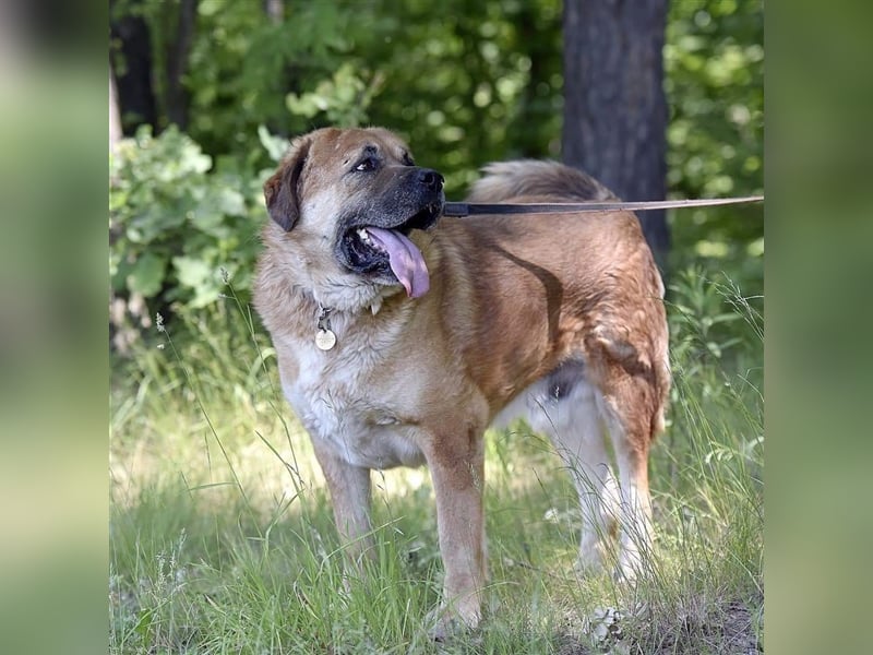 BROOKLYN- gemütlich und groß