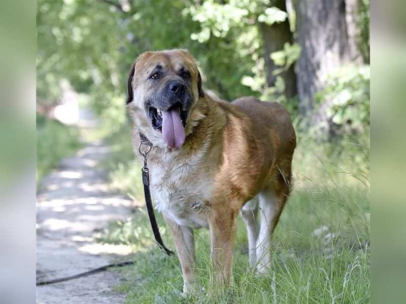 BROOKLYN- gemütlich und groß