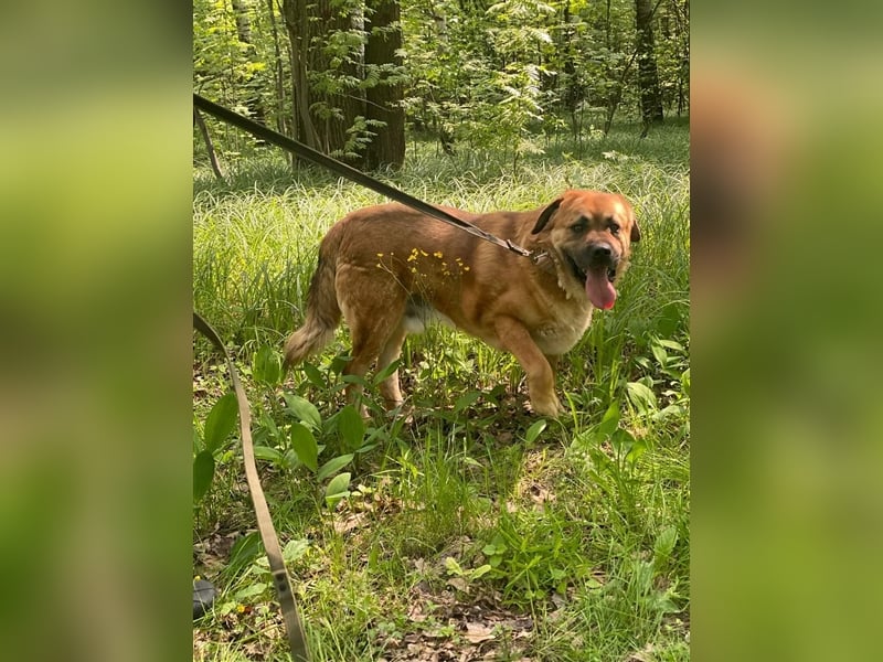 BROOKLYN- gemütlich und groß