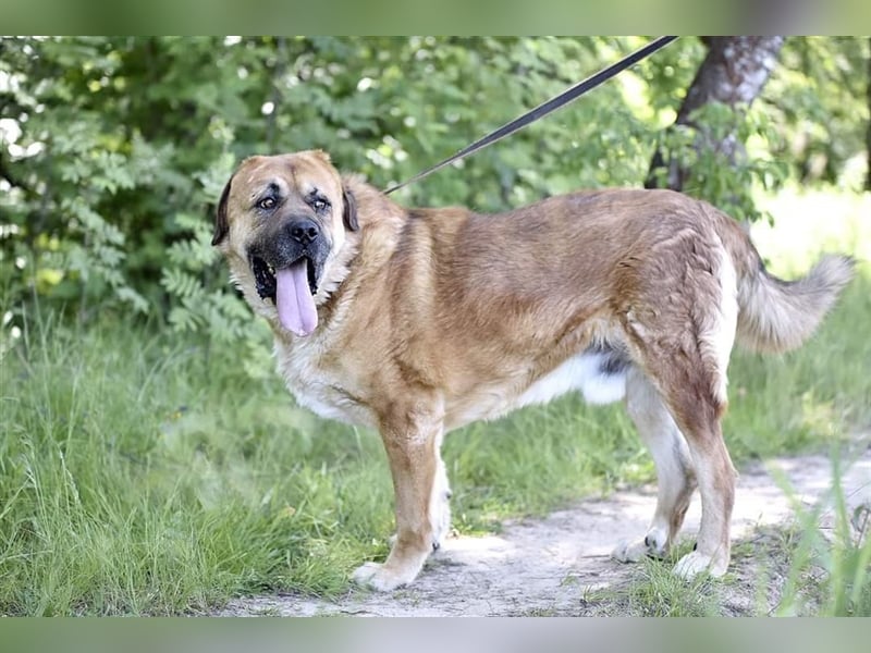 BROOKLYN- gemütlich und groß