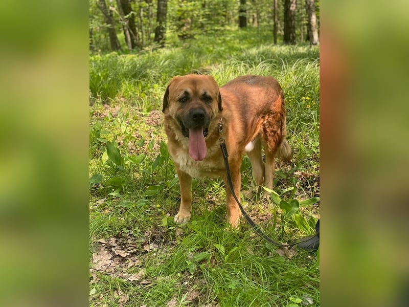 BROOKLYN- gemütlich und groß