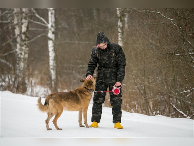MALYSH- freundlicher Rüde sucht liebevolles Zuhause