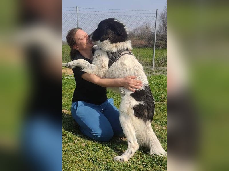 Theo - bereit für SEINE Familie