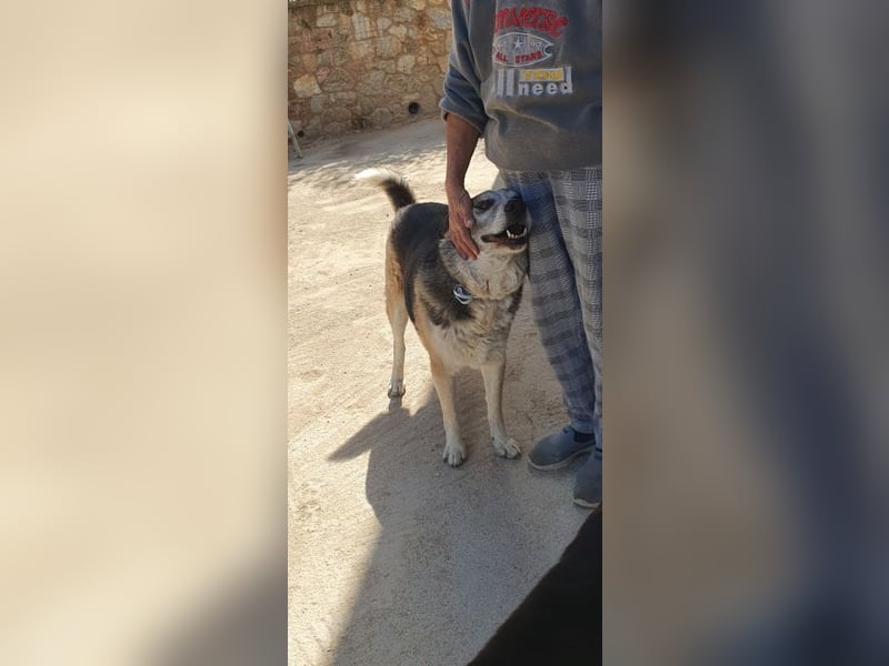 Chico - schüchtern, aber neugierig aufs Leben