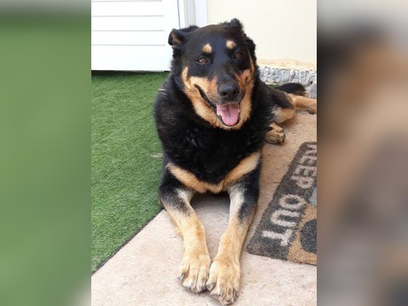 Carla - ohne Menschen, die ihr ganz viel Aufmerksamkeit und Liebe geben, wird Carla immer trauriger