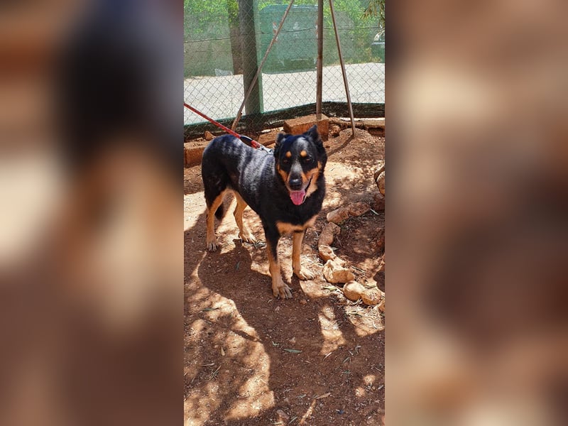 Carla - ohne Menschen, die ihr ganz viel Aufmerksamkeit und Liebe geben, wird Carla immer trauriger