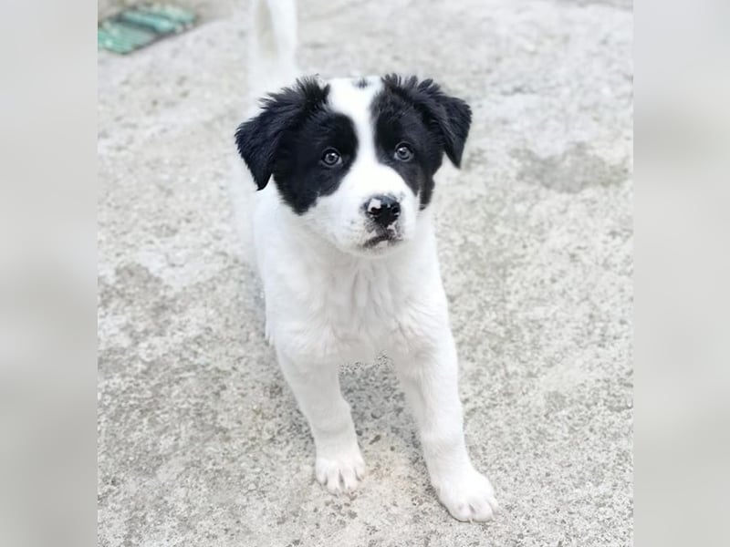 Kleine Smaro wird einmal eine große, tolle Freundin