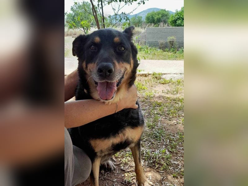 Carla - ohne Menschen, die ihr ganz viel Aufmerksamkeit und Liebe geben, wird Carla immer trauriger