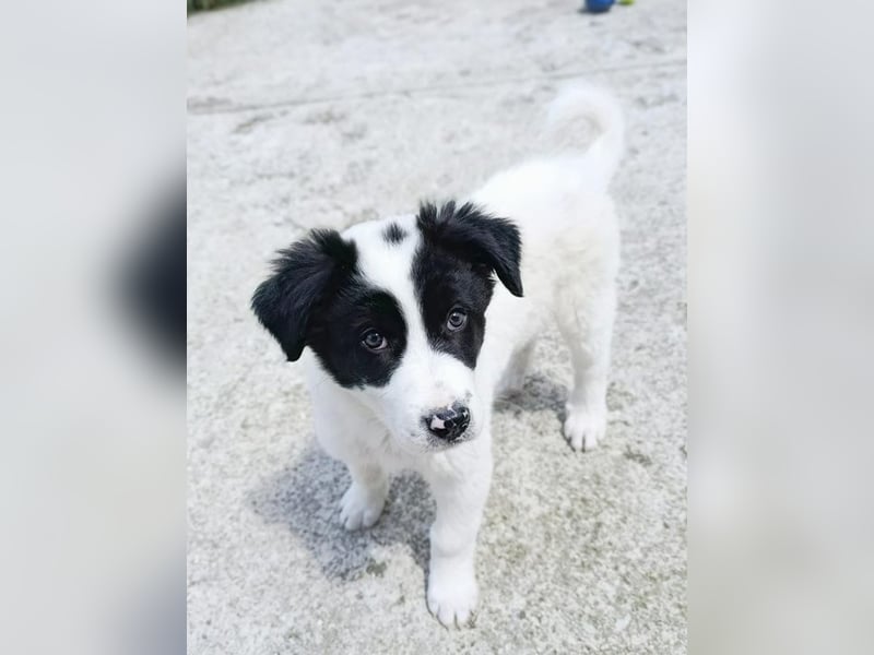 Kleine Smaro wird einmal eine große, tolle Freundin