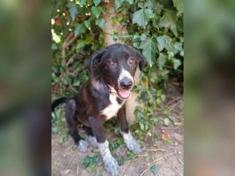 Lisa-Pia -  sie und ihre zwei Schwestern wurden ausgesetzt – dort, wo man auch Müll entsorgt.