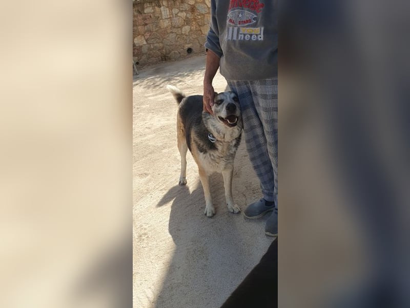 Chico - schüchtern, aber neugierig aufs Leben