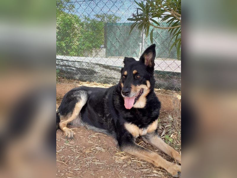 Carla - ohne Menschen, die ihr ganz viel Aufmerksamkeit und Liebe geben, wird Carla immer trauriger