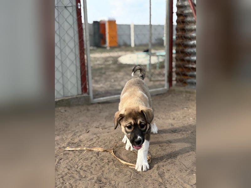 Nuria - Verspielte Nuria möchte die Welt entdecken