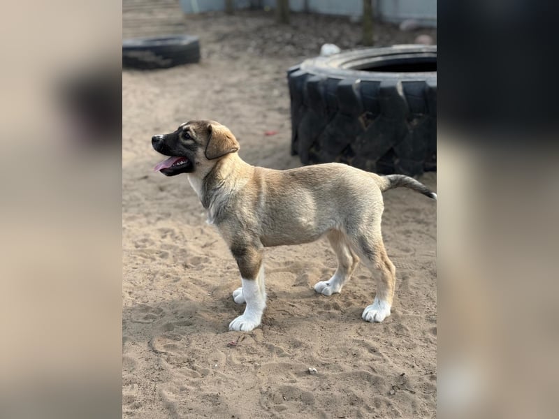 Nuria - Verspielte Nuria möchte die Welt entdecken