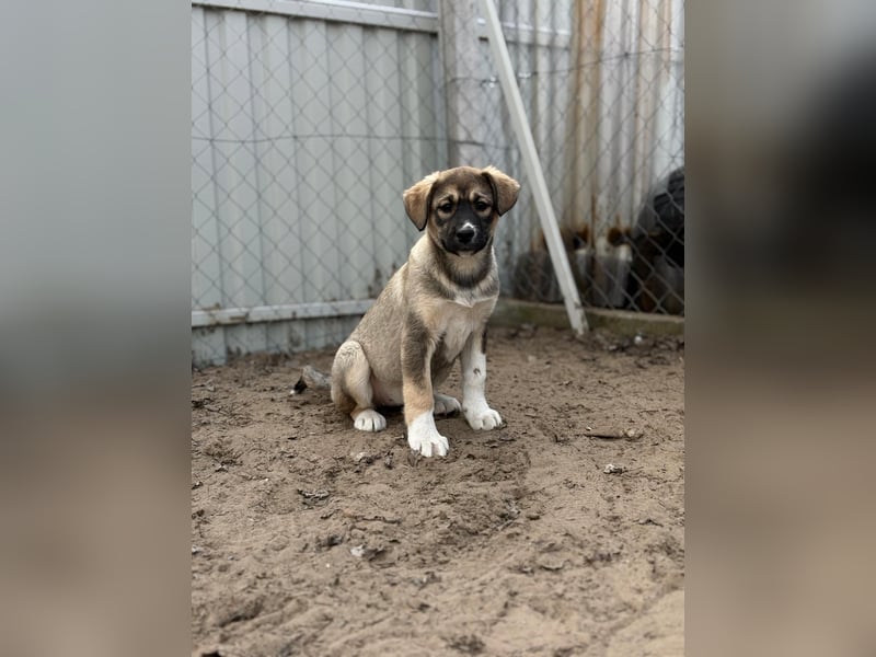 Nuria - Verspielte Nuria möchte die Welt entdecken