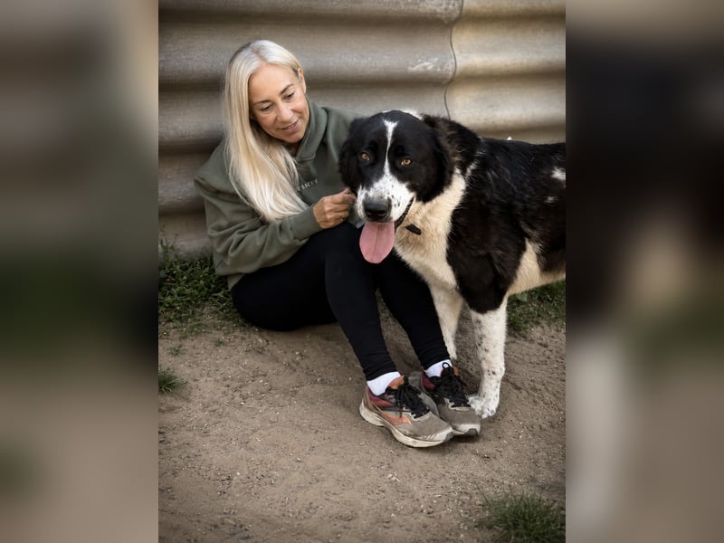 Pixi (Pampinea) - Sanfte Maus sucht ihr Zuhause
