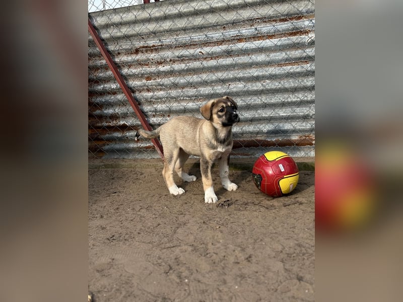 Nuria - Verspielte Nuria möchte die Welt entdecken