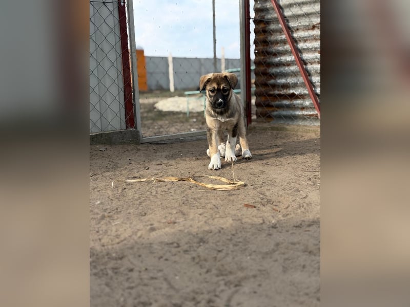 Nuria - Verspielte Nuria möchte die Welt entdecken