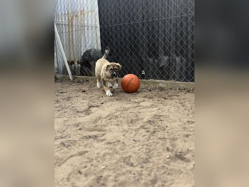 Nuria - Verspielte Nuria möchte die Welt entdecken