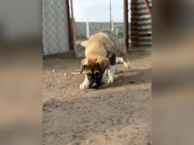 Nuria - Verspielte Nuria möchte die Welt entdecken