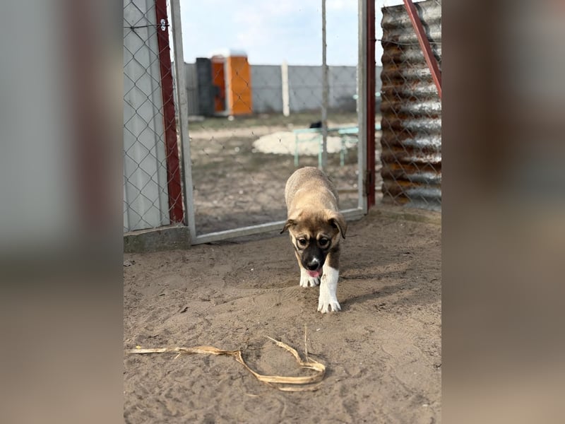 Nuria - Verspielte Nuria möchte die Welt entdecken