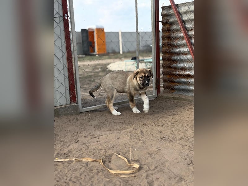 Nuria - Verspielte Nuria möchte die Welt entdecken