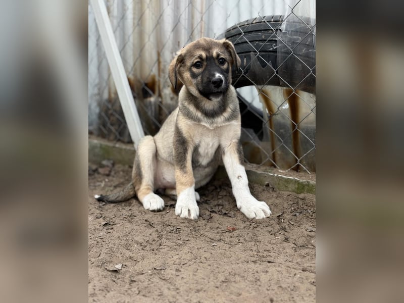 Nuria - Verspielte Nuria möchte die Welt entdecken