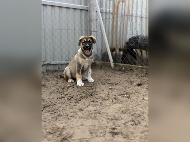 Nuria - Verspielte Nuria möchte die Welt entdecken