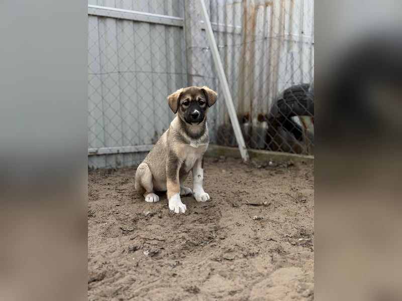 Nuria - Verspielte Nuria möchte die Welt entdecken