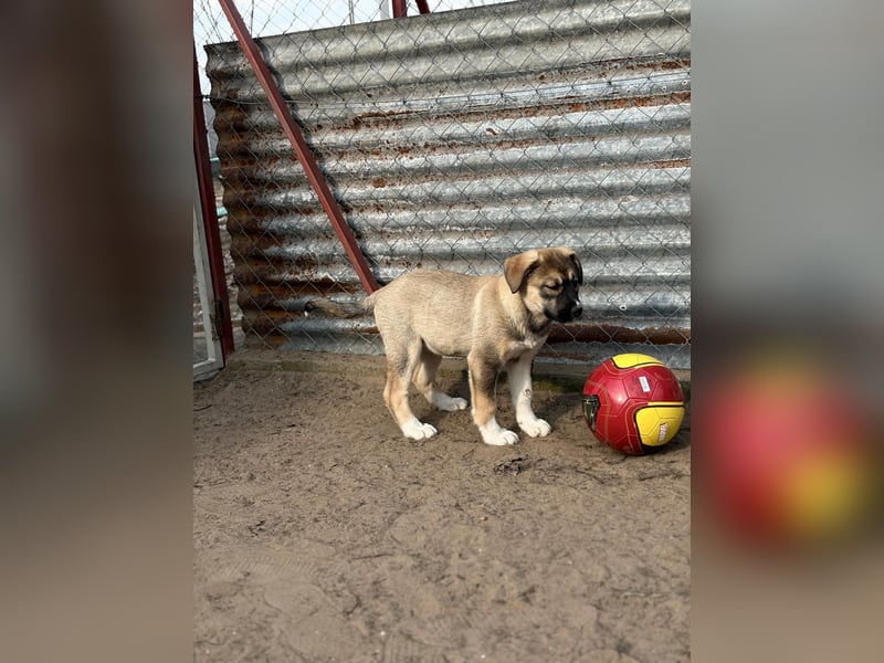 Nuria - Verspielte Nuria möchte die Welt entdecken